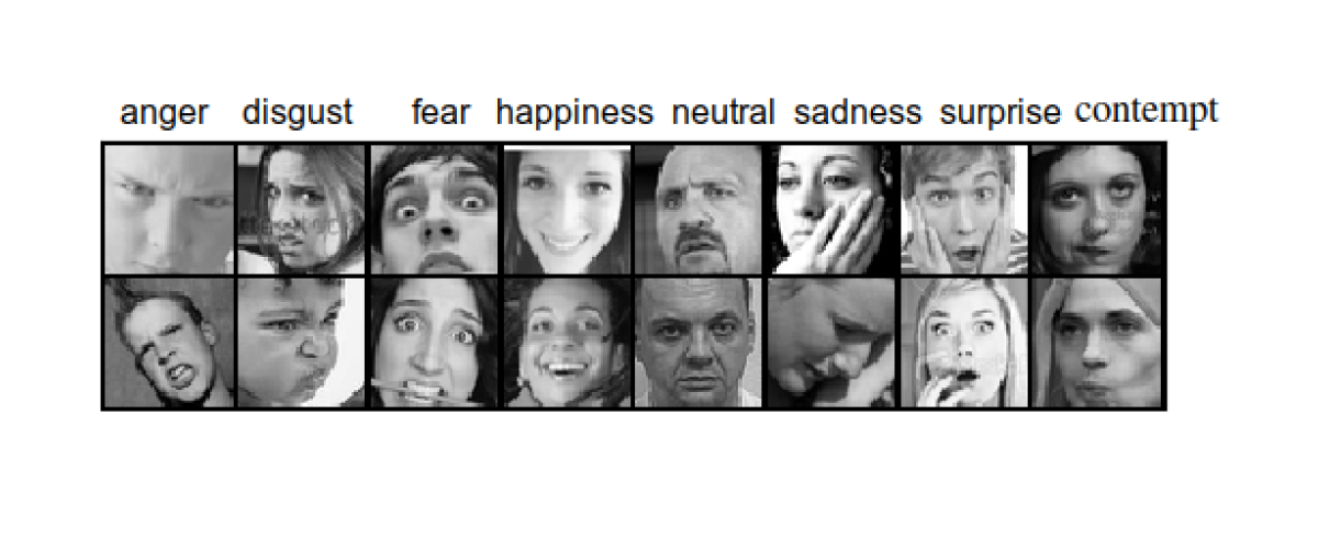 FER Facial emotion recognition